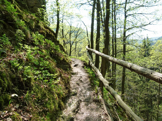 eifelsteig wandern