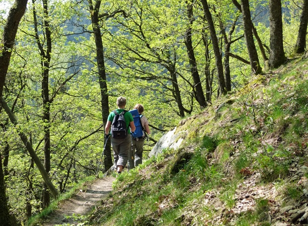 eifelsteig